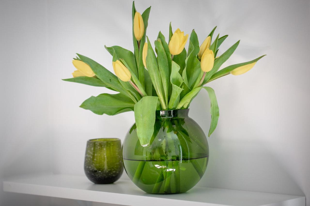 Apartament Ksiezycowy - Mlyn Maria - Art Apartments วรอตซวาฟ ภายนอก รูปภาพ